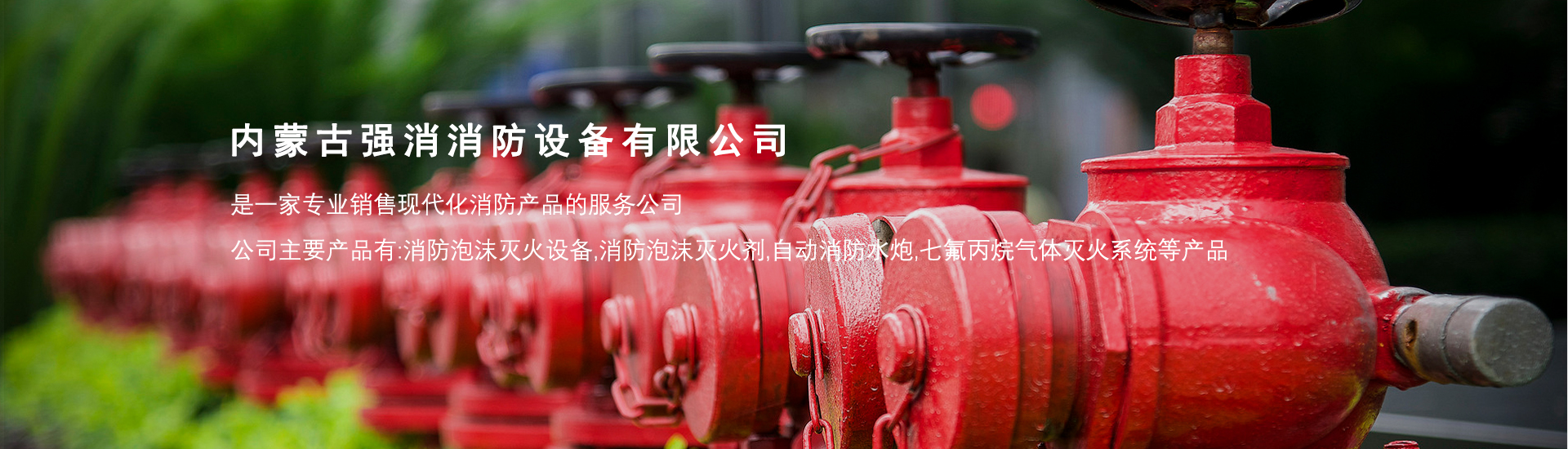 新老澳门原料网大全